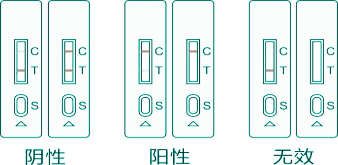 肉眼直接判讀結(jié)果