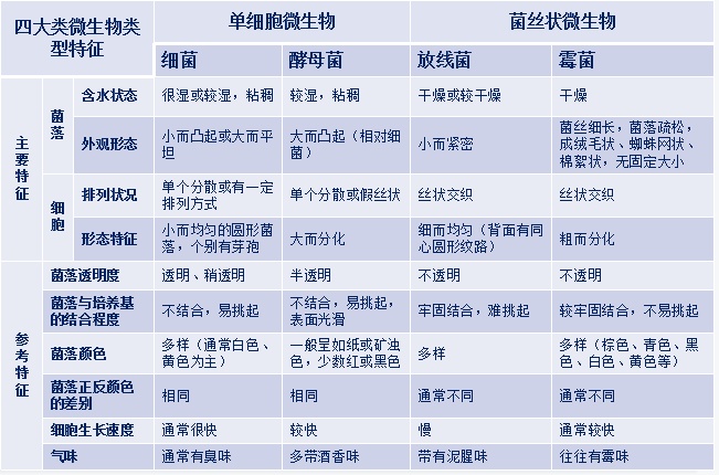 四大類(lèi)微生物的特征